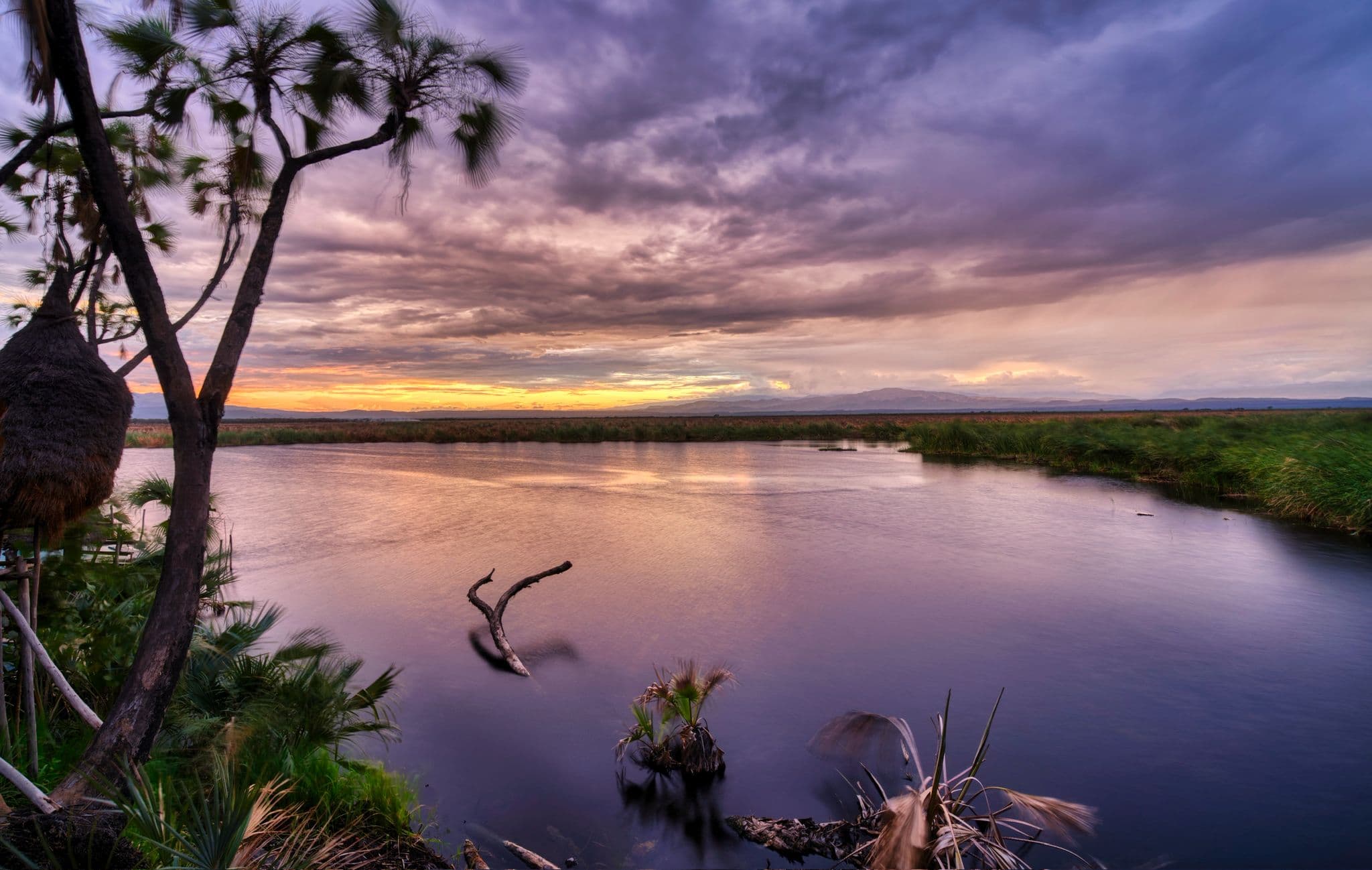 Wildlife safari in Awash National Park with oryx and savanna landscape, Central Ethiopia